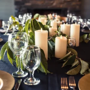 Dinner and auction ONLY tickets